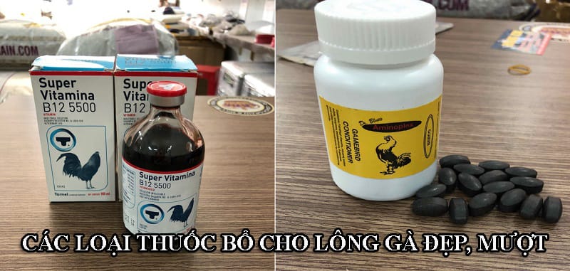 Một số loại thuốc tốt cho quá trình mọc lông của gà