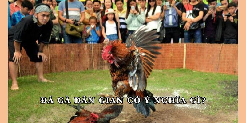 Khám phá chi tiết hình thức đá gà dân gian siêu hot